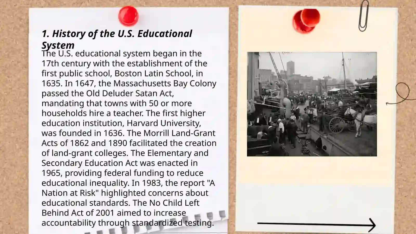 The educational system of the USA 3