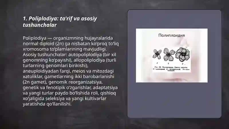 Poliplodiya 3