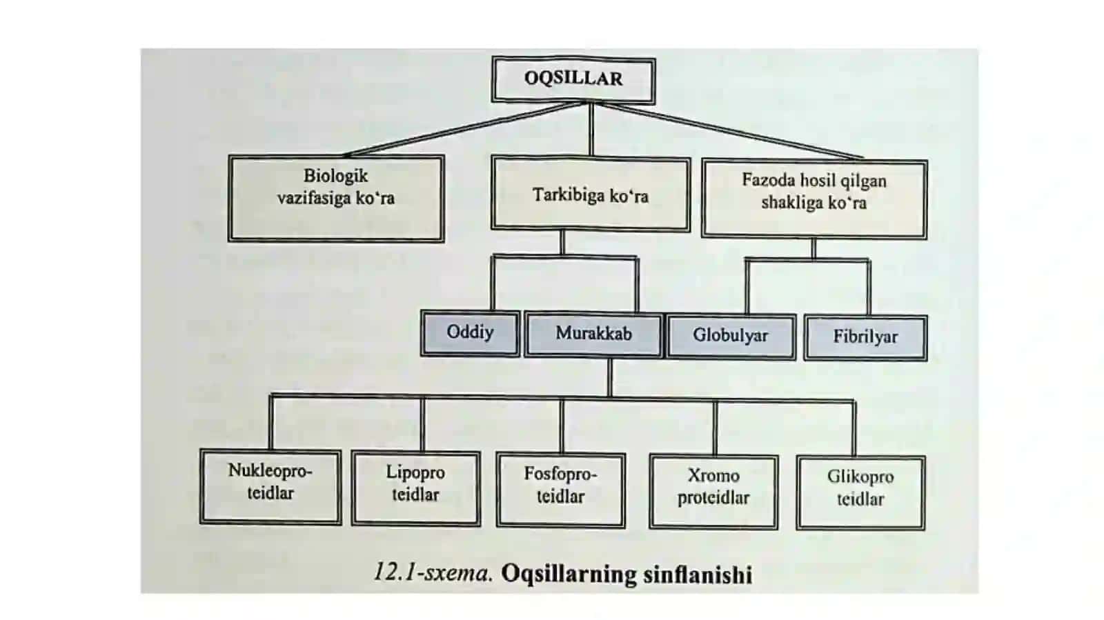 Oqsillar 3