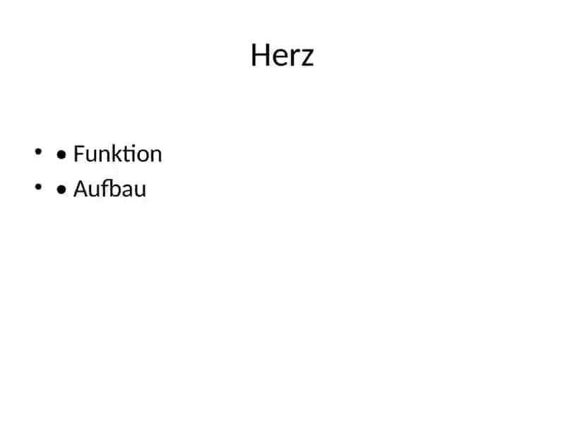 Innere Organe 3