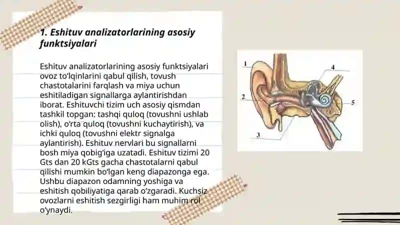 Eshituv analizatori 3