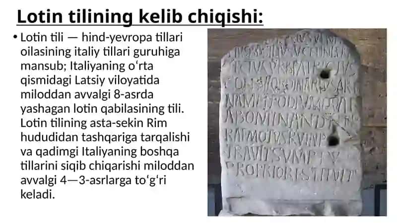 Lotin tilining o'rta asrlardagi o'rni 3