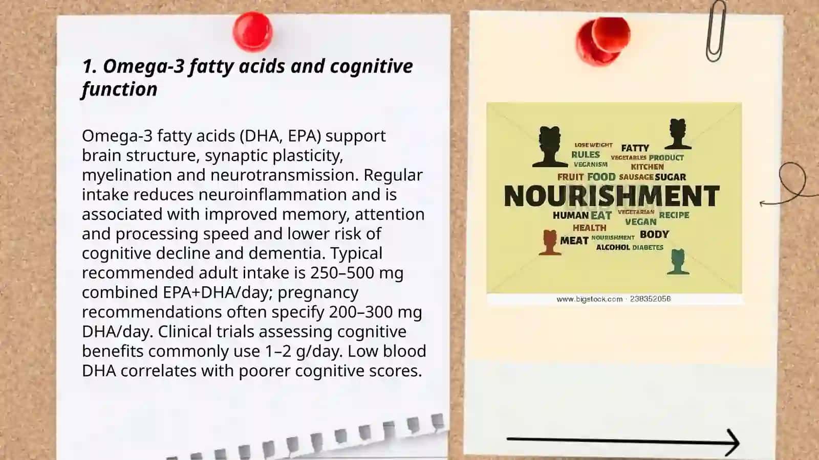 Brain Nourishment 3