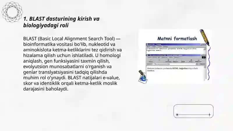 BLAST dasturi 3