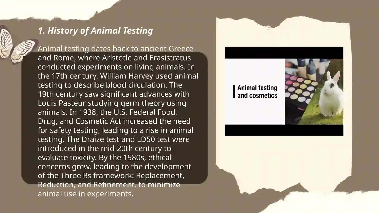 Animal Testing History 3