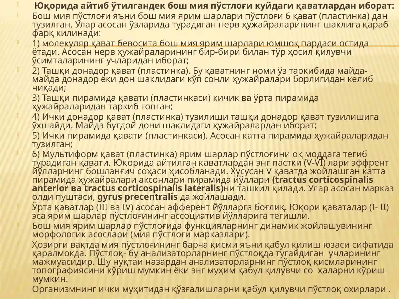 Бош мия пўстлоғи. Бош мия утказув йуллари 3