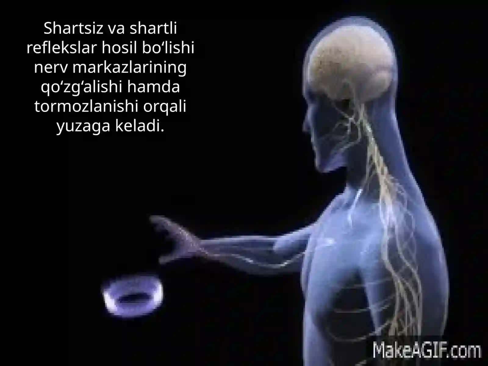 Markaziy nerv sistemasining tormozlanishi 3