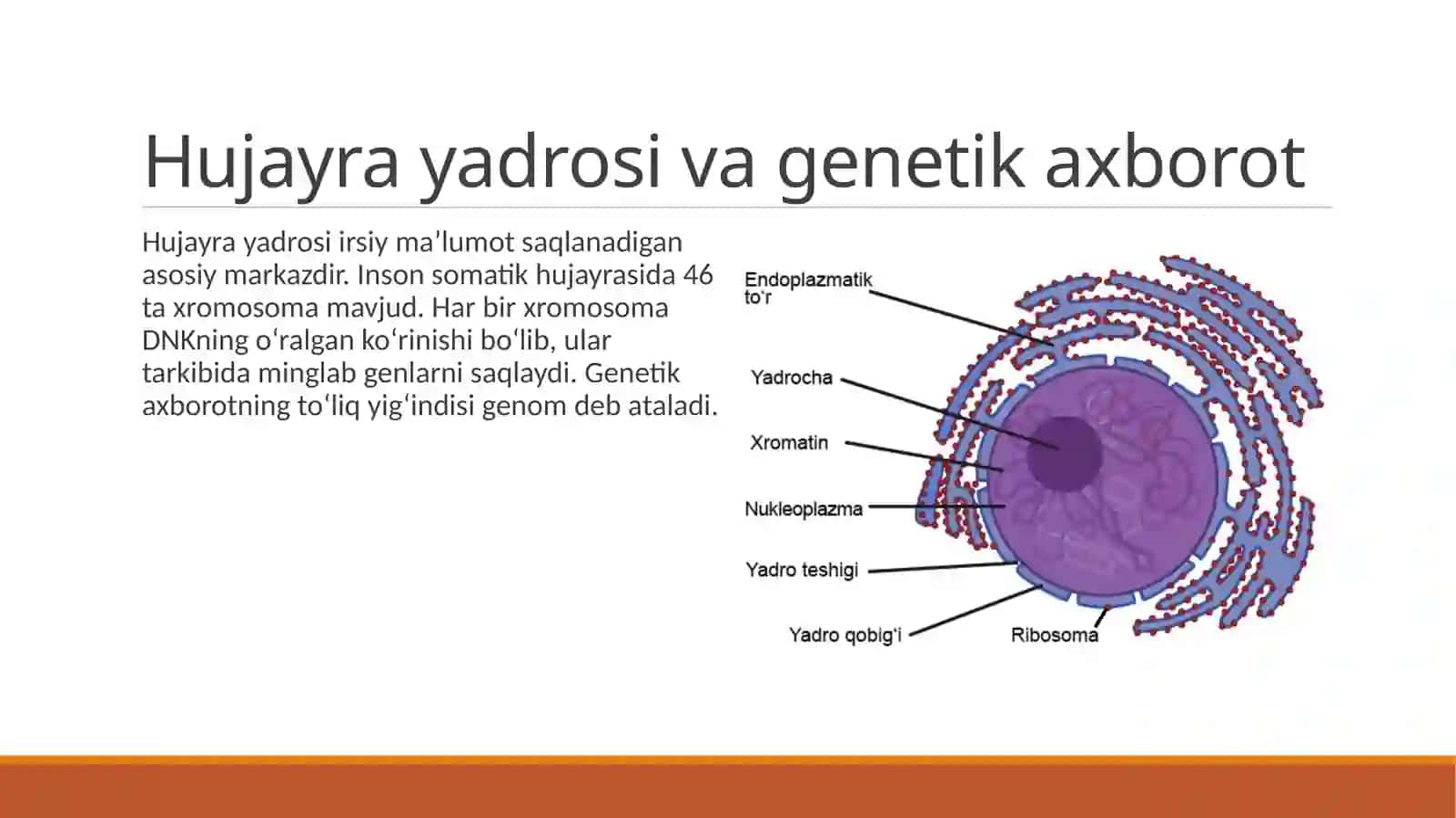 IRSIYATNING MOLEKULYAR ASOSLARI 3