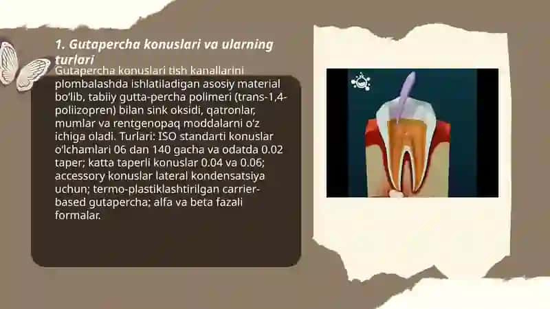 Gutapercha konuslari 3