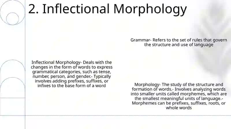 Grammar And Morphology 3