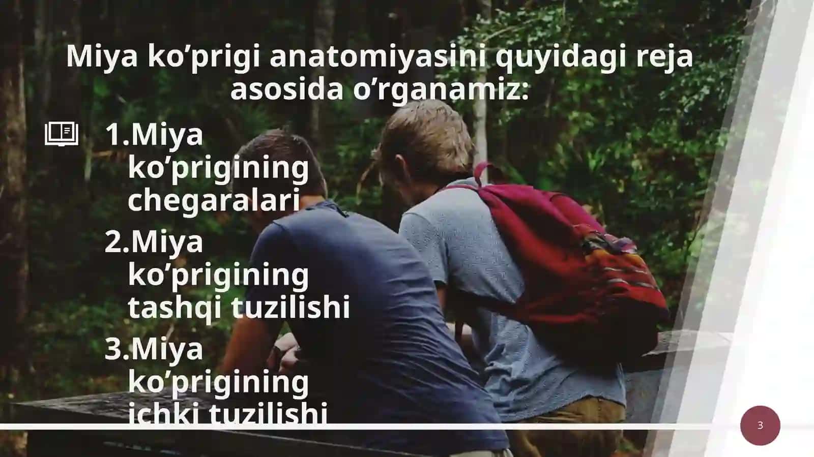 Miya ko’prigi (pons) va miyacha (cerebellum) 3