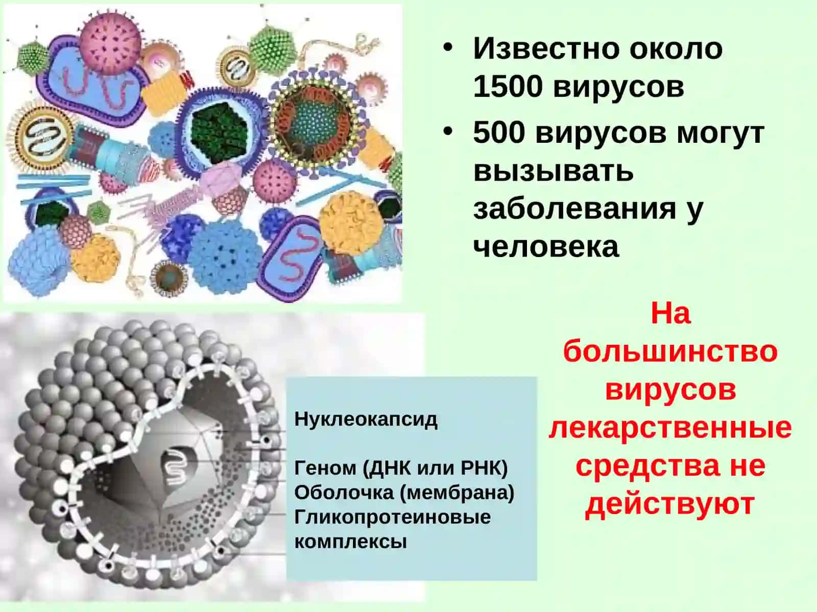 Противовирусные средства 3