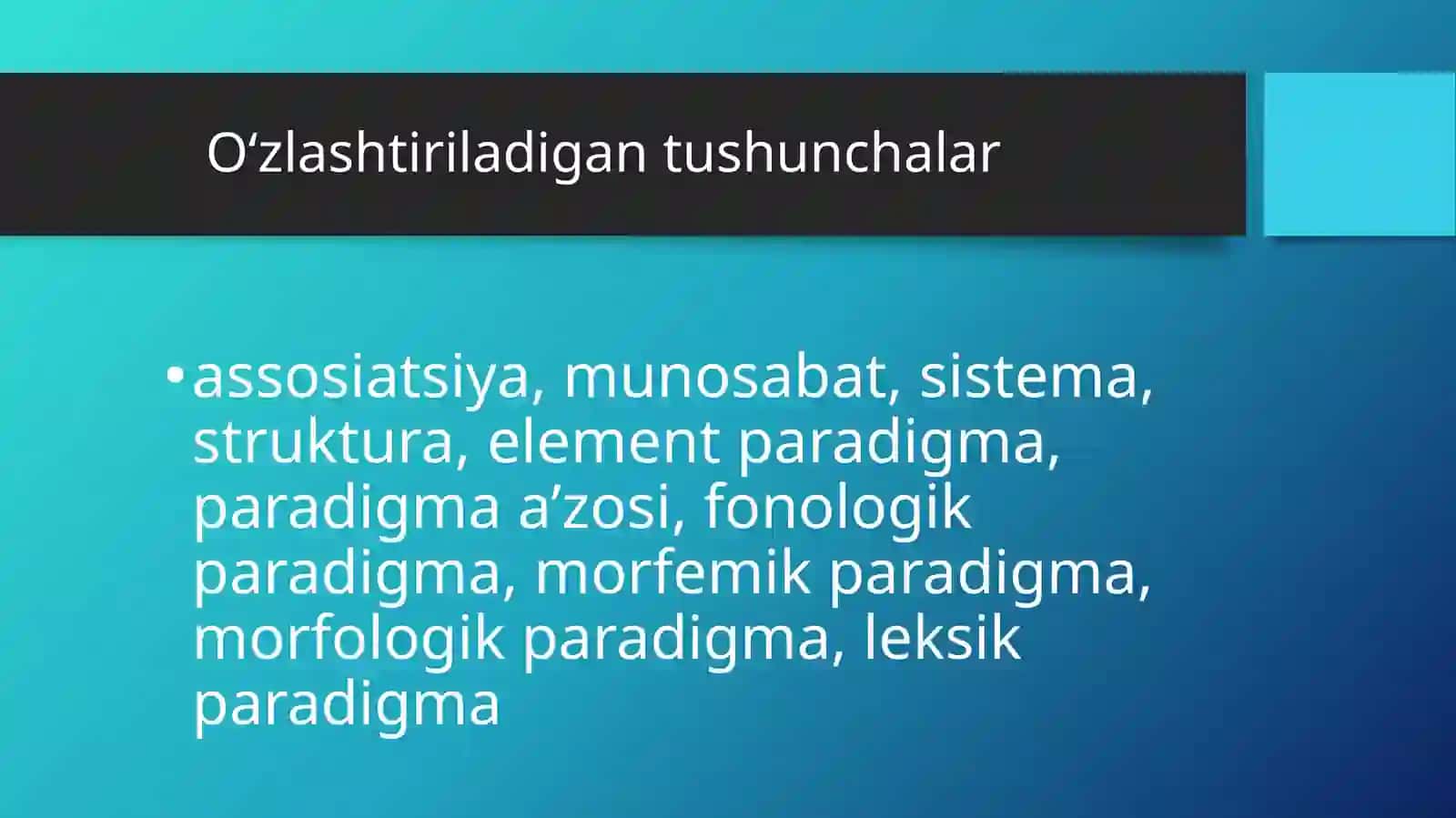 Hozirgi o'zbek adabiy tili: Lisoniy paradigma 3