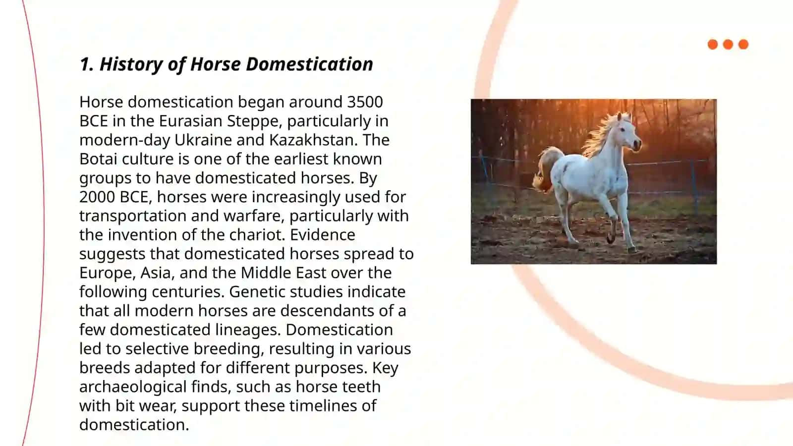 Horse 3