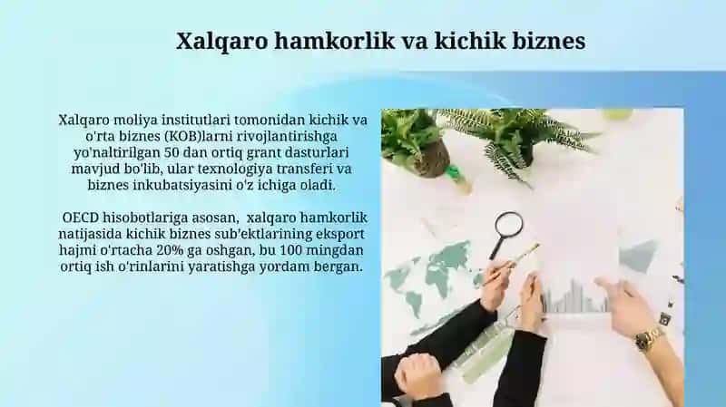 Kichik biznes va tadbirkorlikni rivojlantirishni davlat tomonidan qo'llab quvvatlanishining xorij tajribasi 3