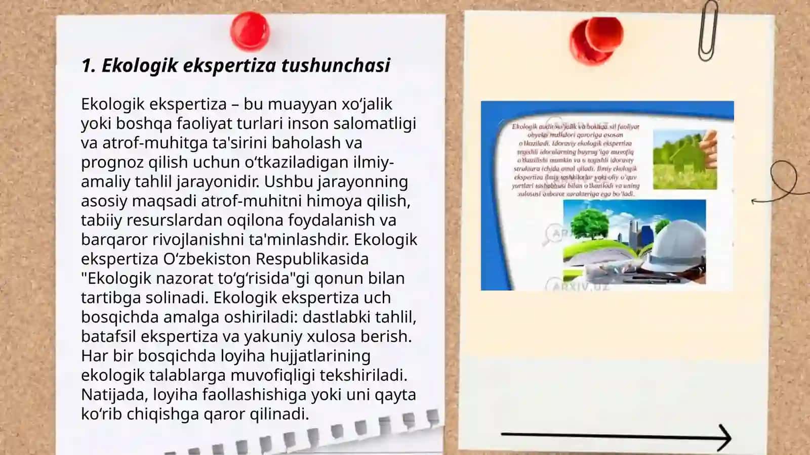 Ekologik ekspertiza 3