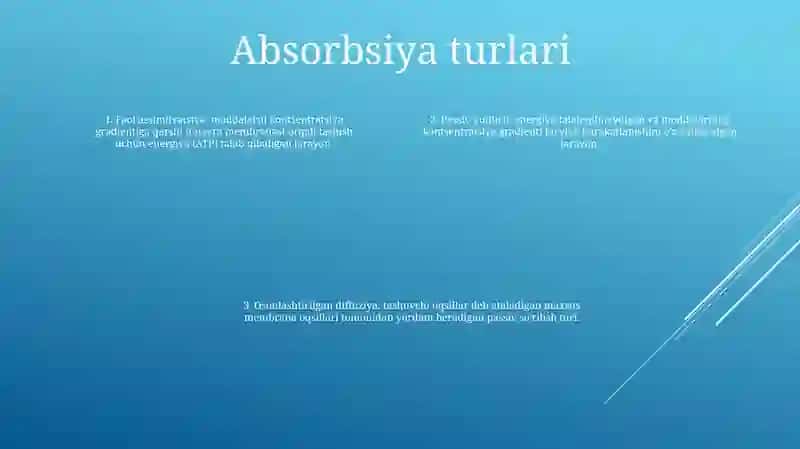 Absorbsiya 3