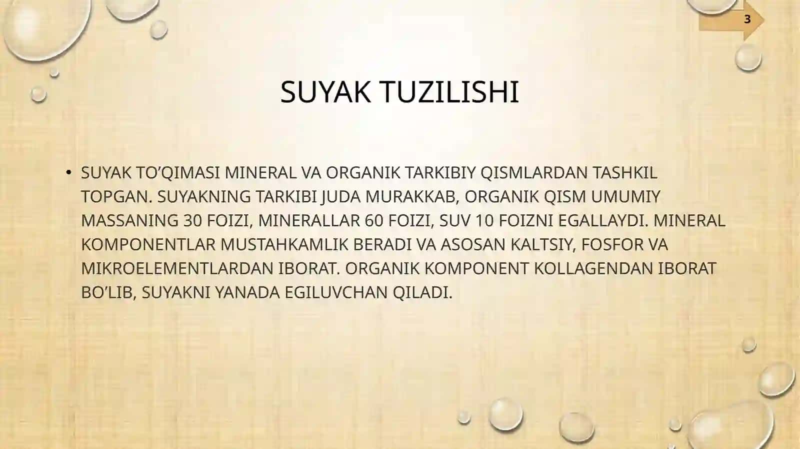 SUYAK TUZILISHI 3