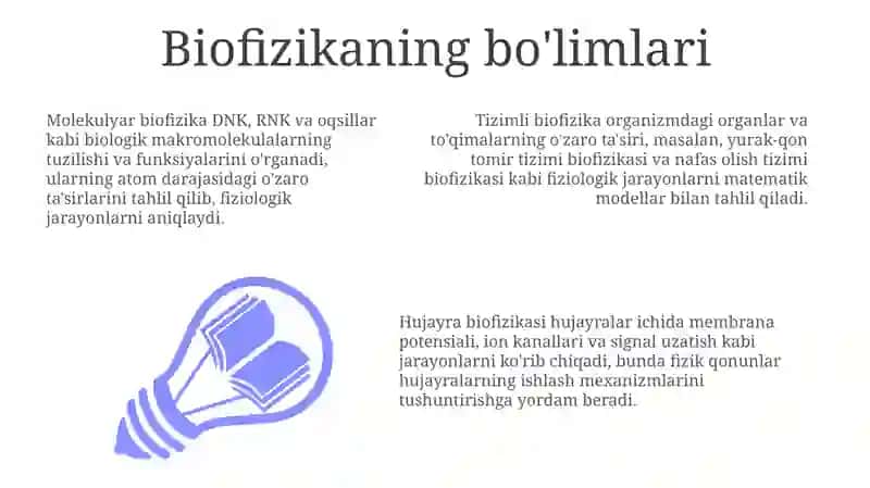 Biofizikaboʻlimlari 3