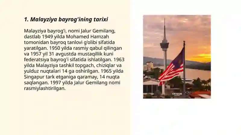 Malayziya bayrog'i 3
