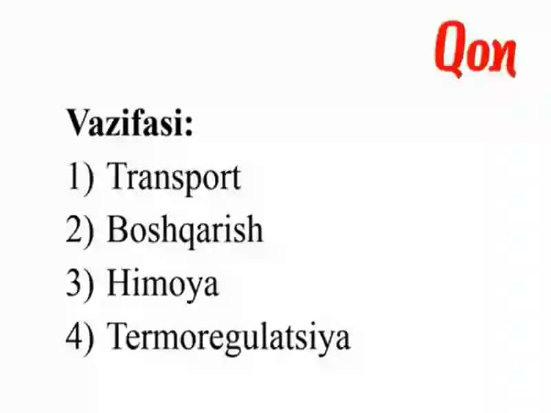 Qon vaqon hosil qiluvchi organlar va yurak qon-tomir tizimining fiziologiyasi va yoshg'a bog'lik xususiyatlari 3