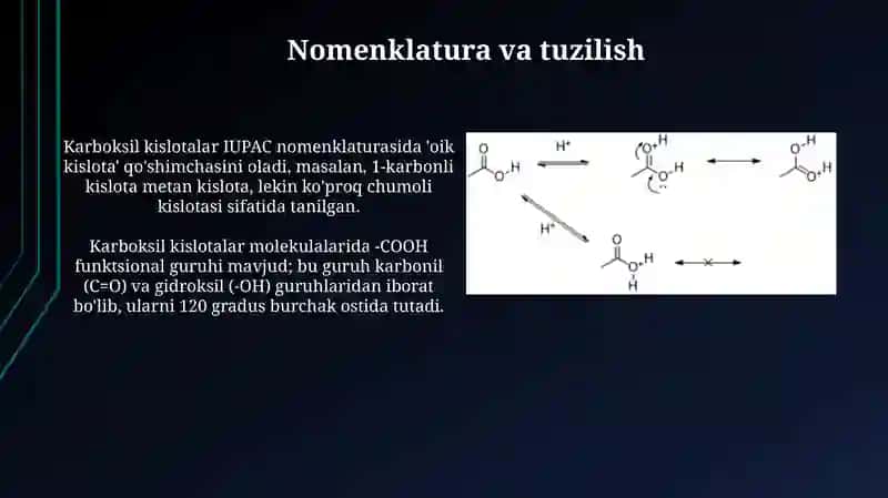 Karbon kislotalarning tutgan oʻrni va ahamiyati 3