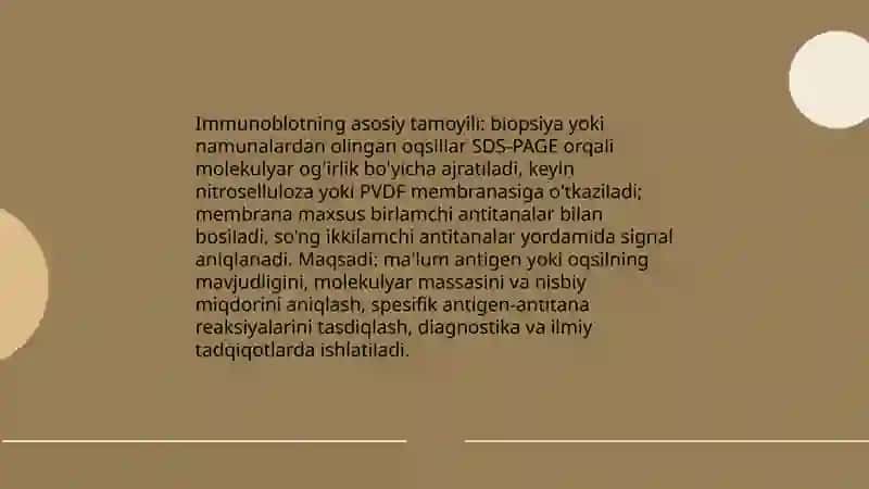 Immunoblot tekshirish usullari 3