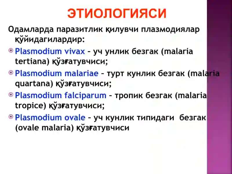 Безгак 3