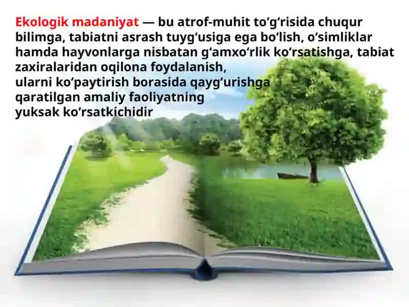 Ekologik madaniyat va tabiiy savodxonlik tushunchalarining o’zaro bog’liqligi 3