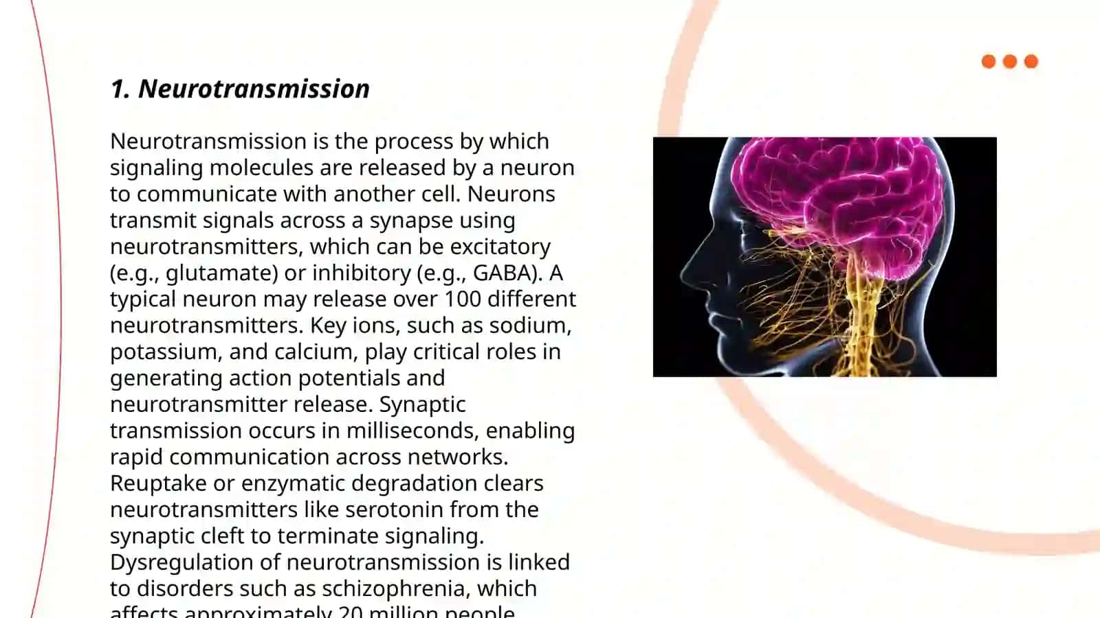 Brain and a nervous system 3
