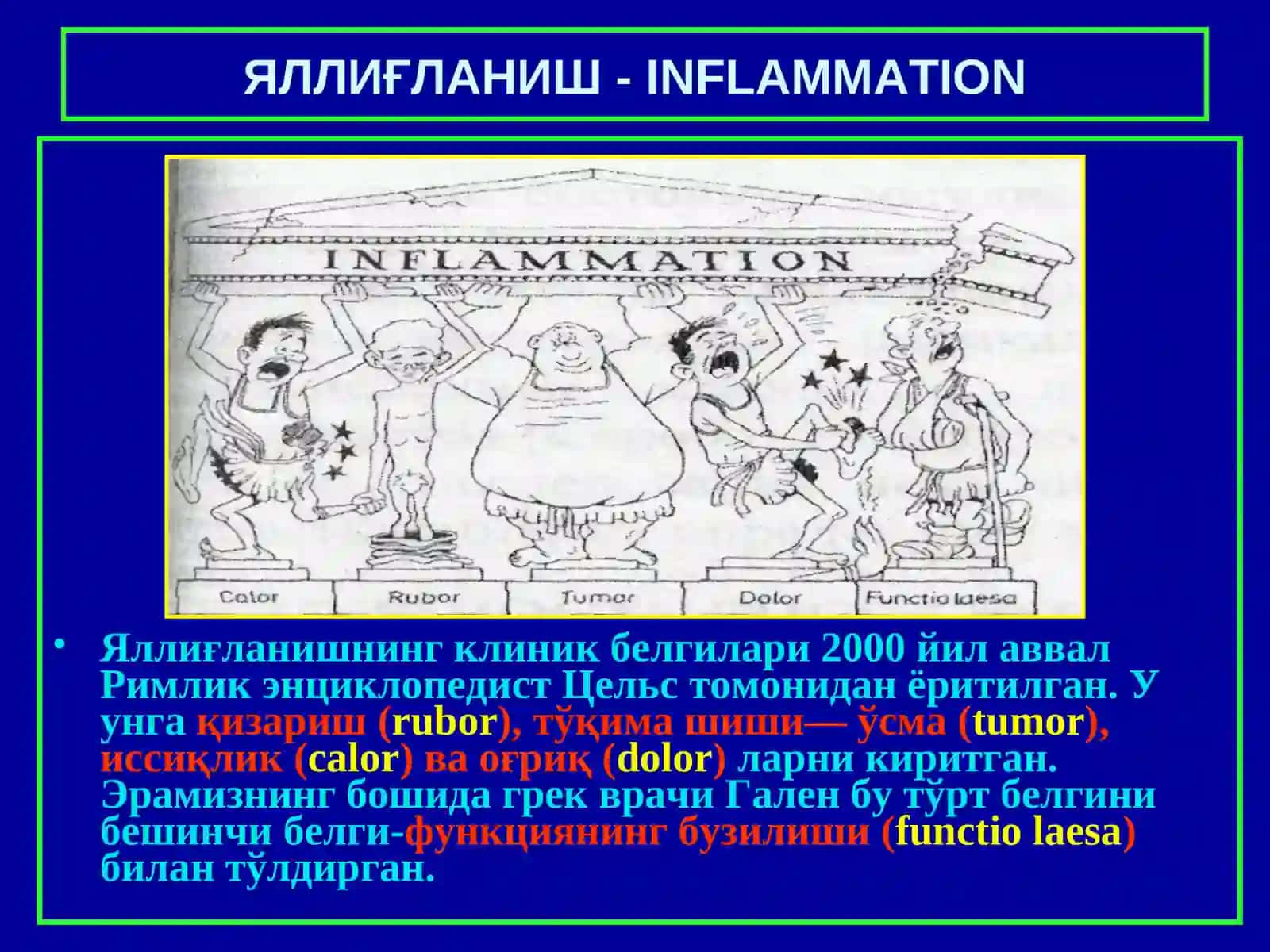 “Яллиғланиш” 3