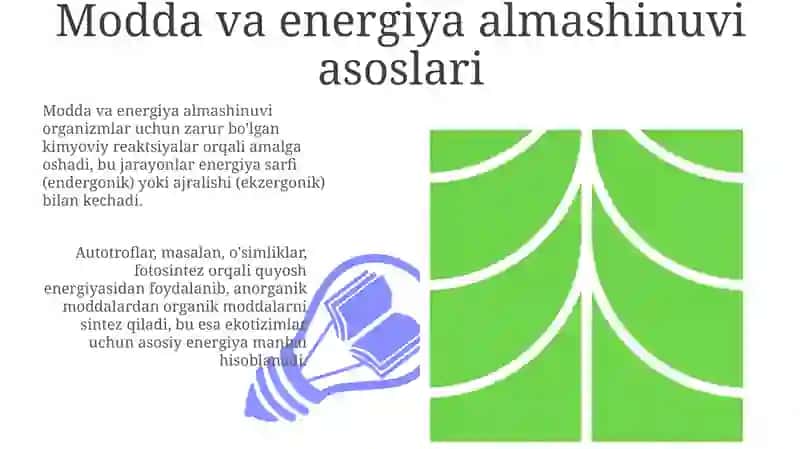 Moddavaenergiyaalmashinuvi 3