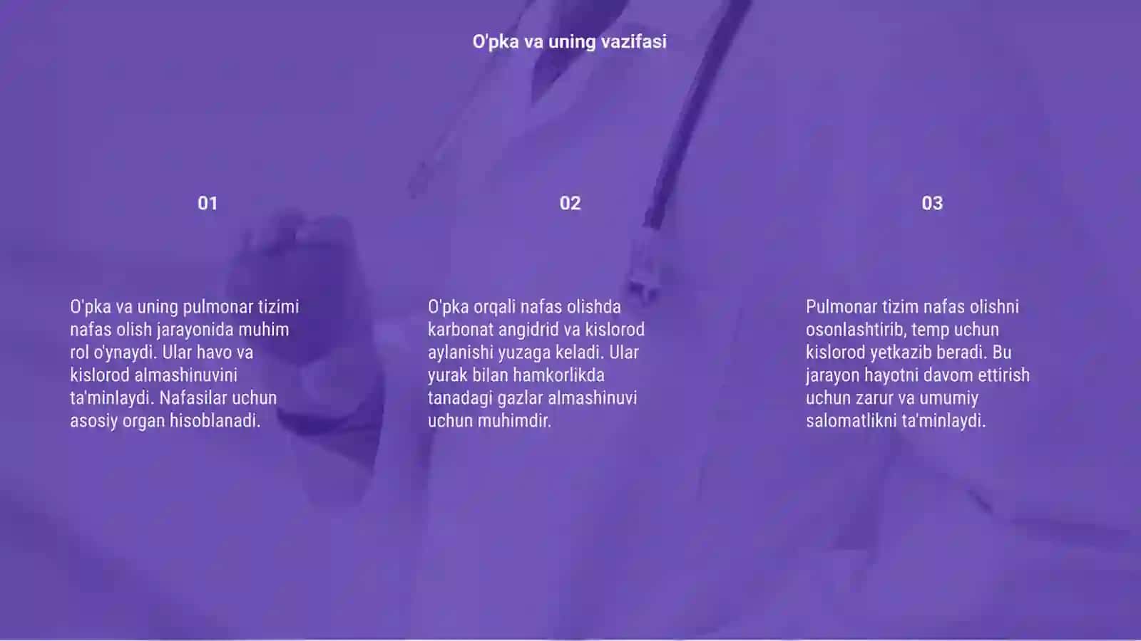 O'pka va uning pulmonar tizimi 3