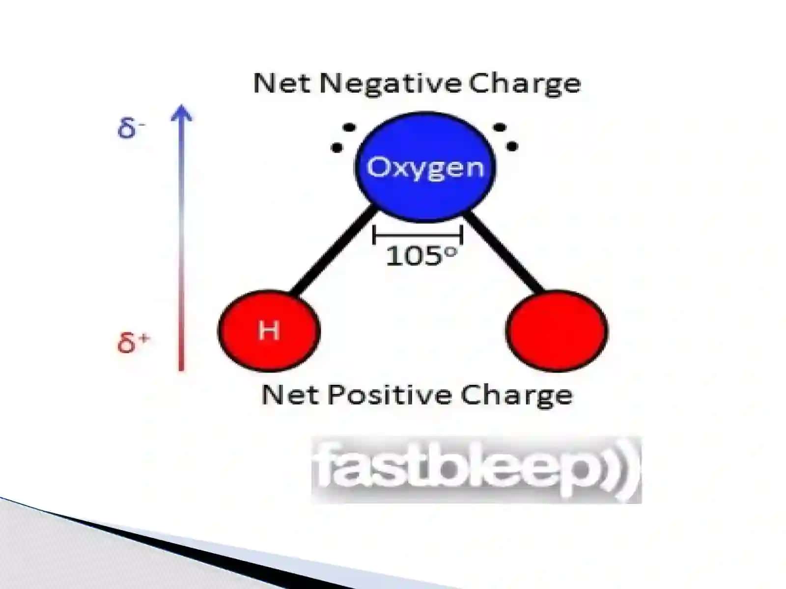 Importance of water 3