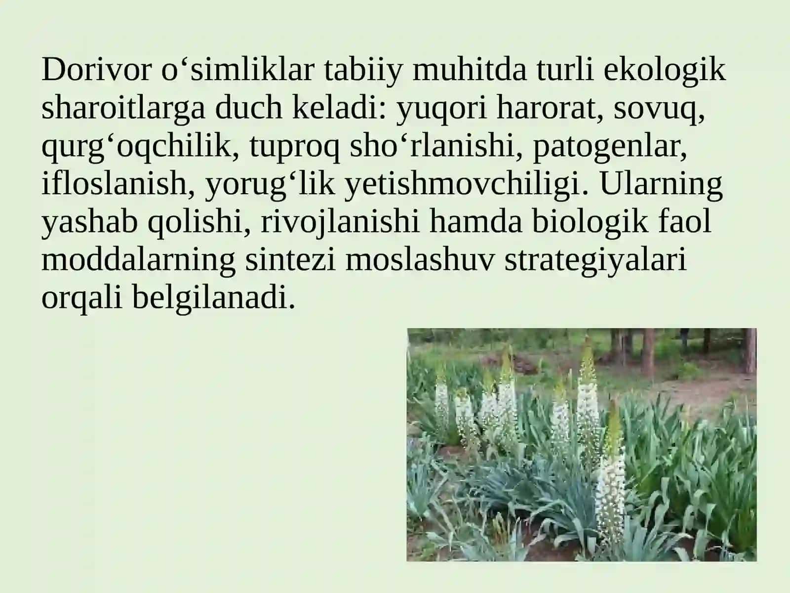 Dorivor O‘simliklarning Hayotiy Strategiyalari Va Stress Sharoitga Moslashishi 3