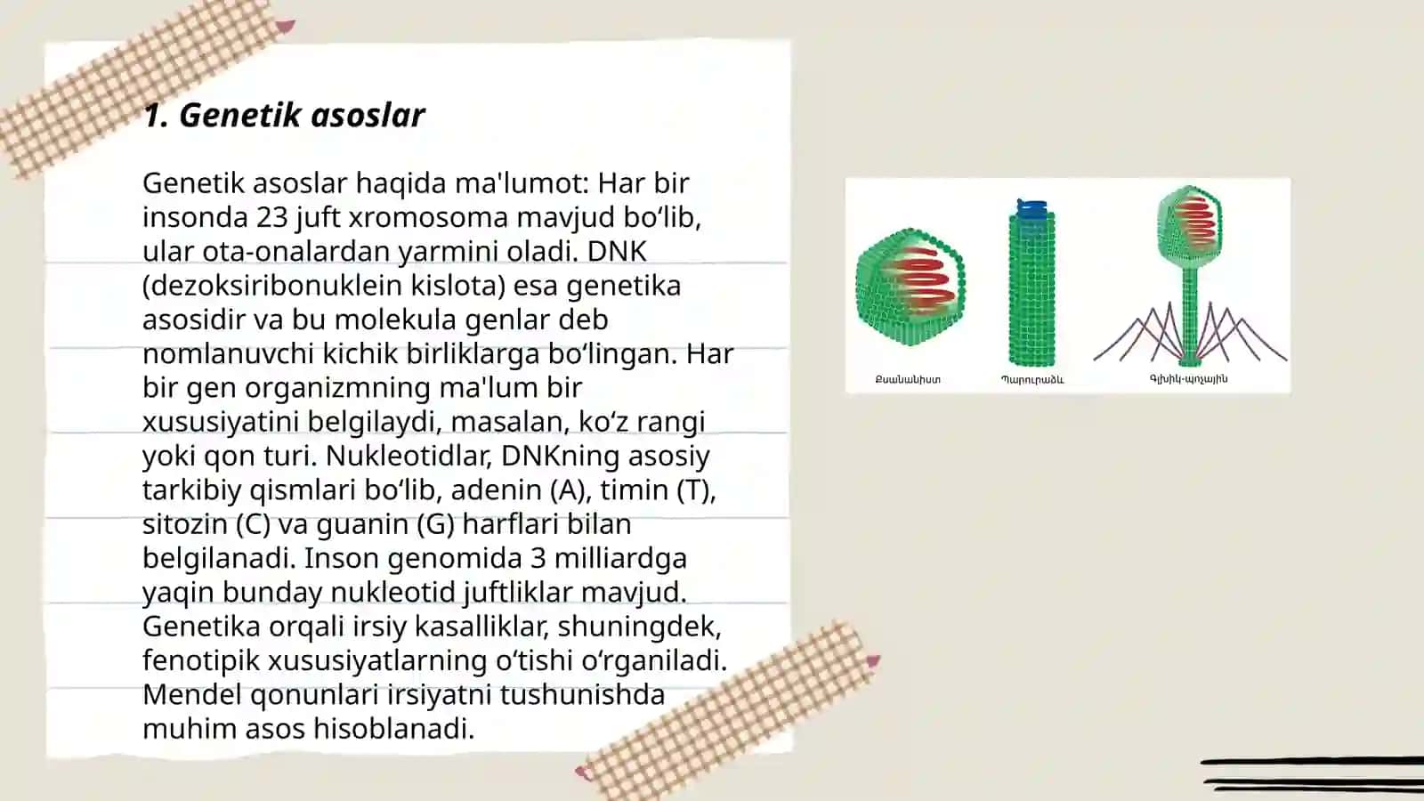 Genetik asoslar 3