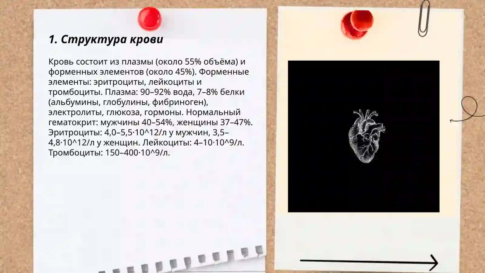 Кровь 3