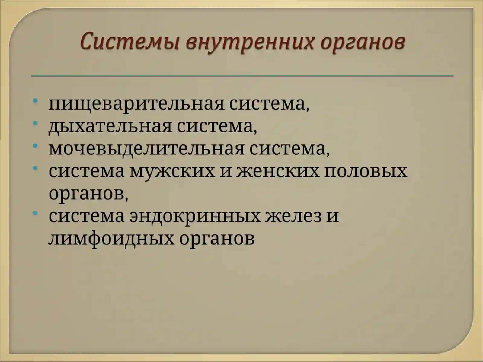 Спланхнология 3