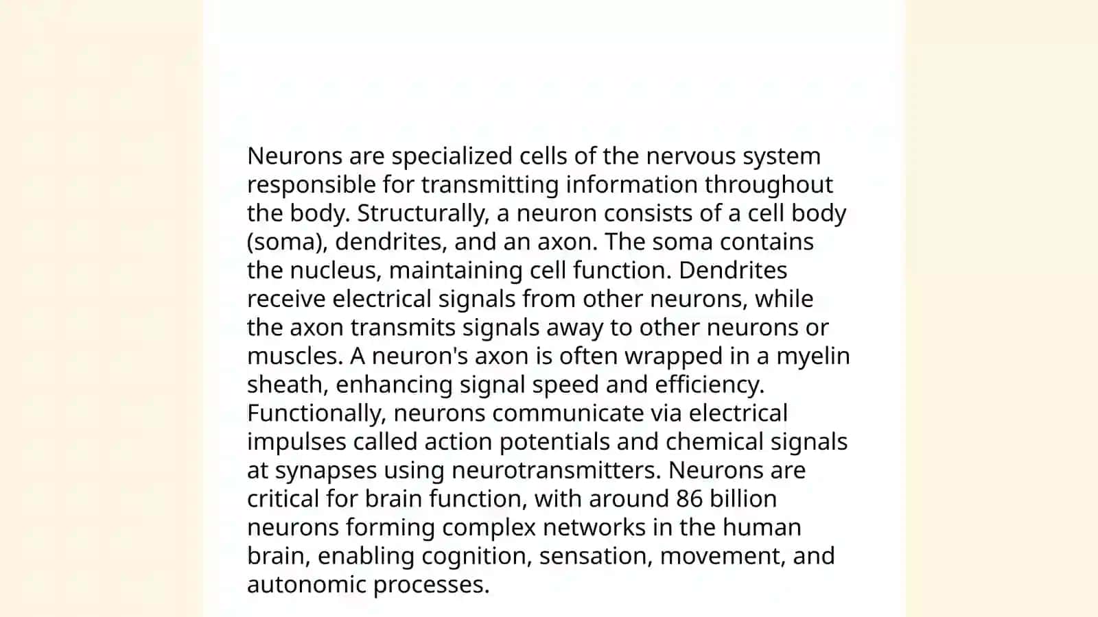 Neurons 3