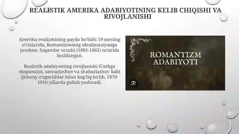 Amerika realistik adabiyoti 3