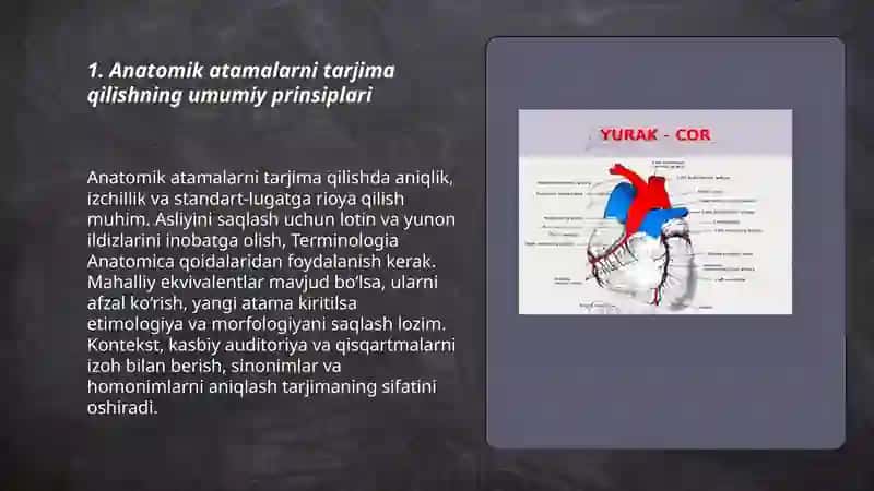 Anatomik iboralarning tarjimasi 3