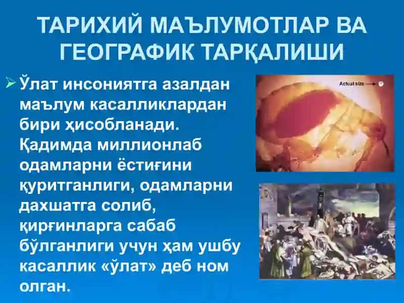 ЎЛАТ 3