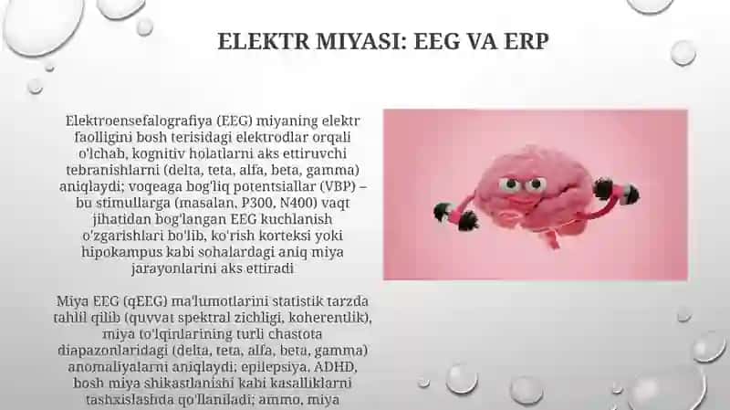 Elektroensefalografiya (EEG) 3