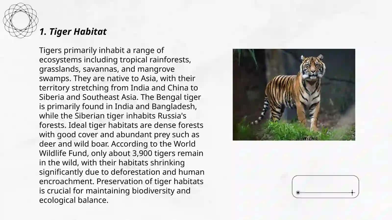 Tiger 3