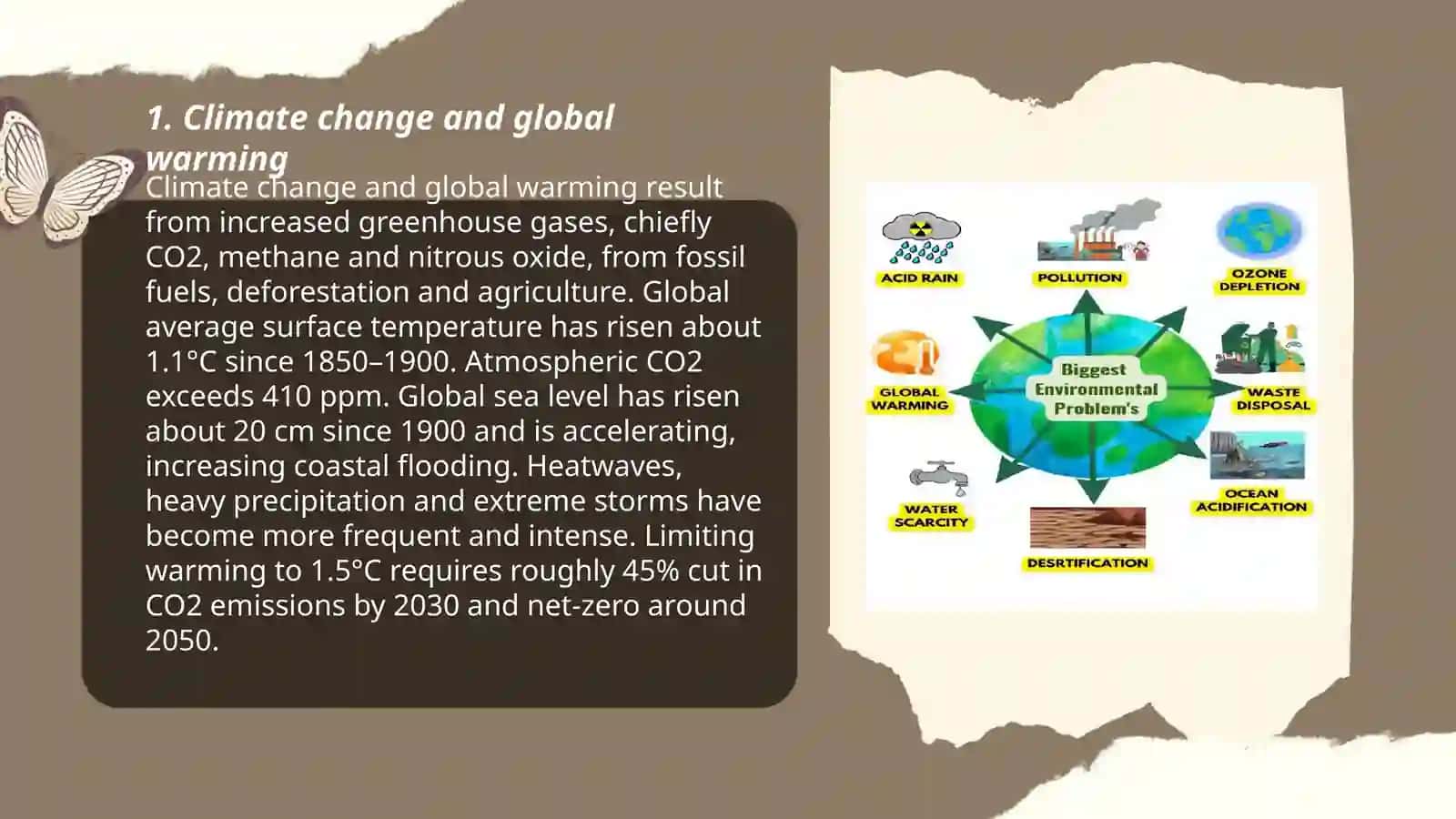 Ecological Problems 3