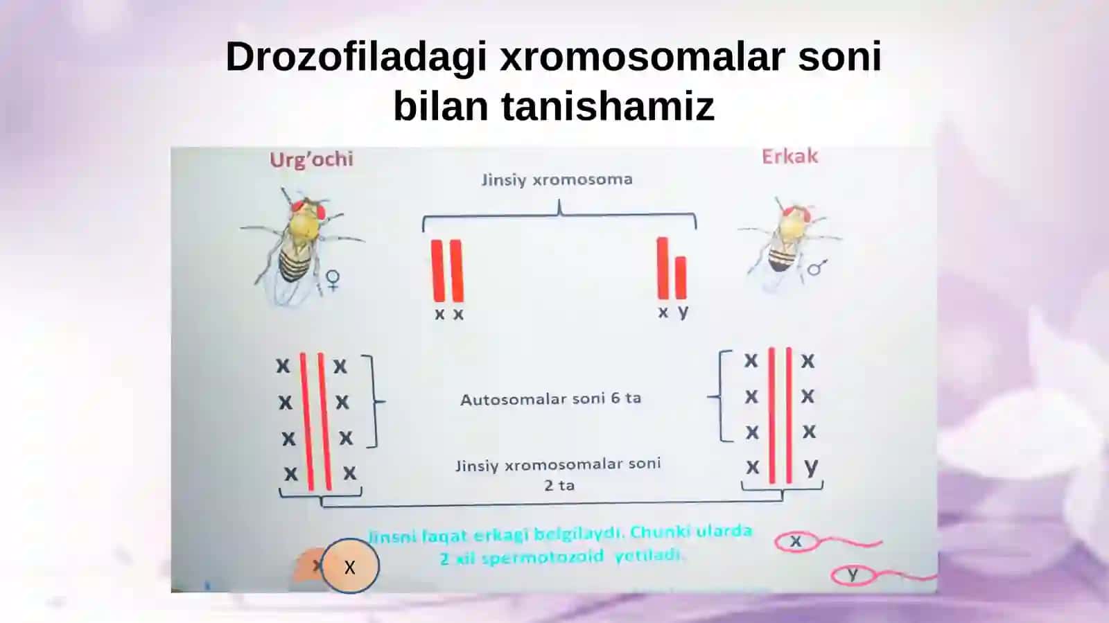 Birga urug‘lanish 3