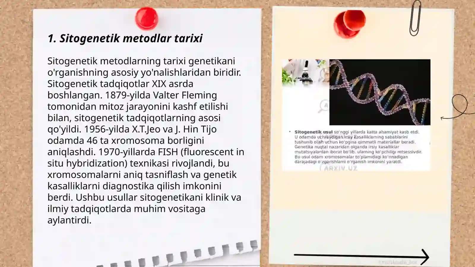 Sitogenetik metod 3