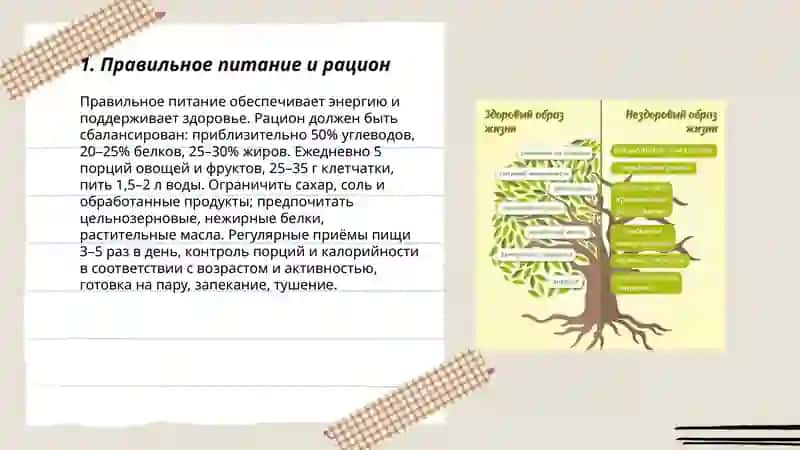 Правильное питание и рацион 3