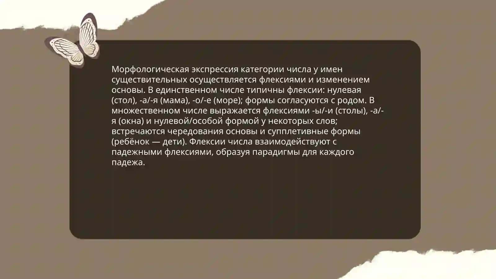 Категория числа имен существительных Категория подежа 3