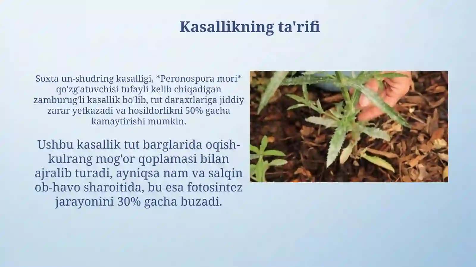 Soxta unshudrin kasalligi 3